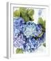 Vibrancy-Tania Bello-Framed Giclee Print