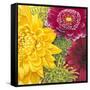 Vibrancy-Jenaya Jackson-Framed Stretched Canvas