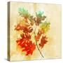 Vibrant Autumn 2-Ken Roko-Stretched Canvas