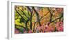 Vibrant Autumn-Peter Adams-Framed Giclee Print