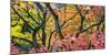 Vibrant Autumn-Peter Adams-Mounted Giclee Print