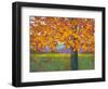 Vibrant Autumn-J Charles-Framed Art Print