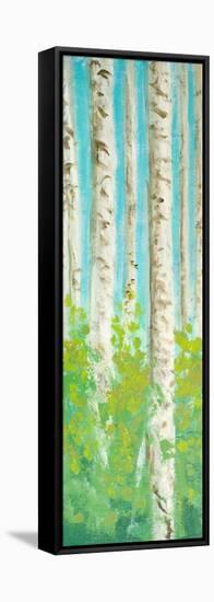 Vibrant Birchwood I-Walt Johnson-Framed Stretched Canvas