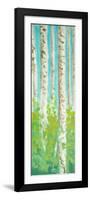 Vibrant Birchwood I-Walt Johnson-Framed Art Print