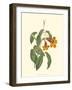 Vibrant Blooms I-Sydenham Teast Edwards-Framed Art Print