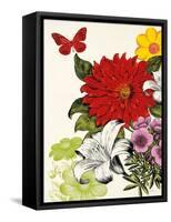 Vibrant Blossoms-Devon Ross-Framed Stretched Canvas