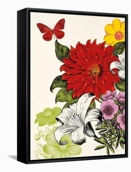 Vibrant Blossoms-Devon Ross-Framed Stretched Canvas