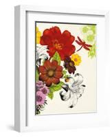 Vibrant Bouquet-Devon Ross-Framed Art Print