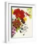 Vibrant Bouquet-Devon Ross-Framed Art Print