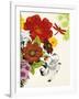 Vibrant Bouquet-Devon Ross-Framed Art Print