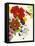 Vibrant Bouquet-Devon Ross-Framed Stretched Canvas