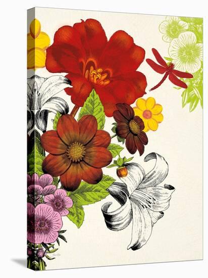 Vibrant Bouquet-Devon Ross-Stretched Canvas
