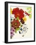 Vibrant Bouquet-Devon Ross-Framed Art Print