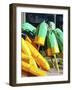 Vibrant Buoys I-Emily Kalina-Framed Art Print