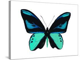 Vibrant Butterfly I-Julia Bosco-Stretched Canvas