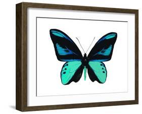 Vibrant Butterfly I-Julia Bosco-Framed Art Print