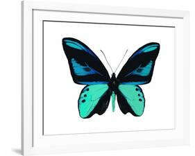 Vibrant Butterfly I-Julia Bosco-Framed Art Print