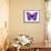 Vibrant Butterfly IV-Julia Bosco-Framed Stretched Canvas displayed on a wall