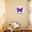 Vibrant Butterfly IV-Julia Bosco-Mounted Art Print displayed on a wall