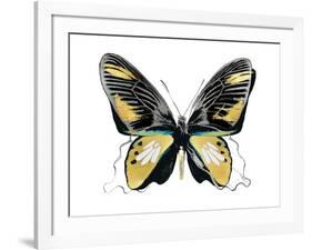 Vibrant Butterfly VI-Julia Bosco-Framed Art Print