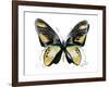 Vibrant Butterfly VI-Julia Bosco-Framed Art Print