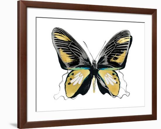 Vibrant Butterfly VI-Julia Bosco-Framed Art Print