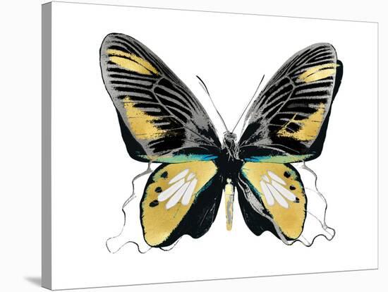 Vibrant Butterfly VI-Julia Bosco-Stretched Canvas