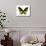 Vibrant Butterfly VII-Julia Bosco-Mounted Art Print displayed on a wall