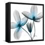 Vibrant Clematis-Albert Koetsier-Framed Stretched Canvas