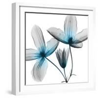 Vibrant Clematis-Albert Koetsier-Framed Photographic Print