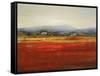 Vibrant Field II-Sydney Edmunds-Framed Stretched Canvas