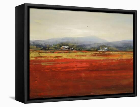 Vibrant Field II-Sydney Edmunds-Framed Stretched Canvas