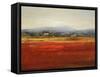 Vibrant Field II-Sydney Edmunds-Framed Stretched Canvas