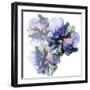 Vibrant Floral Trio-Emma Catherine Debs-Framed Art Print