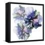 Vibrant Floral Trio-Emma Catherine Debs-Framed Stretched Canvas