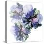 Vibrant Floral Trio-Emma Catherine Debs-Stretched Canvas