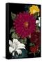 Vibrant Florals Black 1-Devon Ross-Framed Stretched Canvas