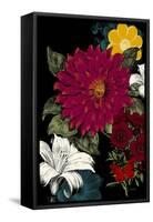 Vibrant Florals Black 1-Devon Ross-Framed Stretched Canvas