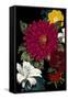 Vibrant Florals Black 1-Devon Ross-Framed Stretched Canvas