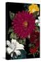 Vibrant Florals Black 1-Devon Ross-Stretched Canvas