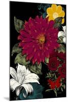 Vibrant Florals Black 1-Devon Ross-Mounted Art Print