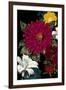 Vibrant Florals Black 1-Devon Ross-Framed Art Print