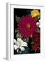 Vibrant Florals Black 1-Devon Ross-Framed Art Print