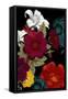 Vibrant Florals Black 2-Devon Ross-Framed Stretched Canvas