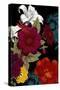 Vibrant Florals Black 2-Devon Ross-Stretched Canvas