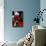 Vibrant Florals Black 2-Devon Ross-Mounted Art Print displayed on a wall