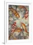 Vibrant Koi I-Tim O'toole-Framed Art Print