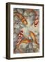 Vibrant Koi I-Tim O'toole-Framed Art Print