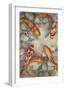 Vibrant Koi I-Tim O'toole-Framed Art Print