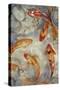 Vibrant Koi II-Tim O'toole-Stretched Canvas